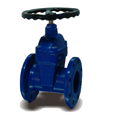 Ductile iron gate valve